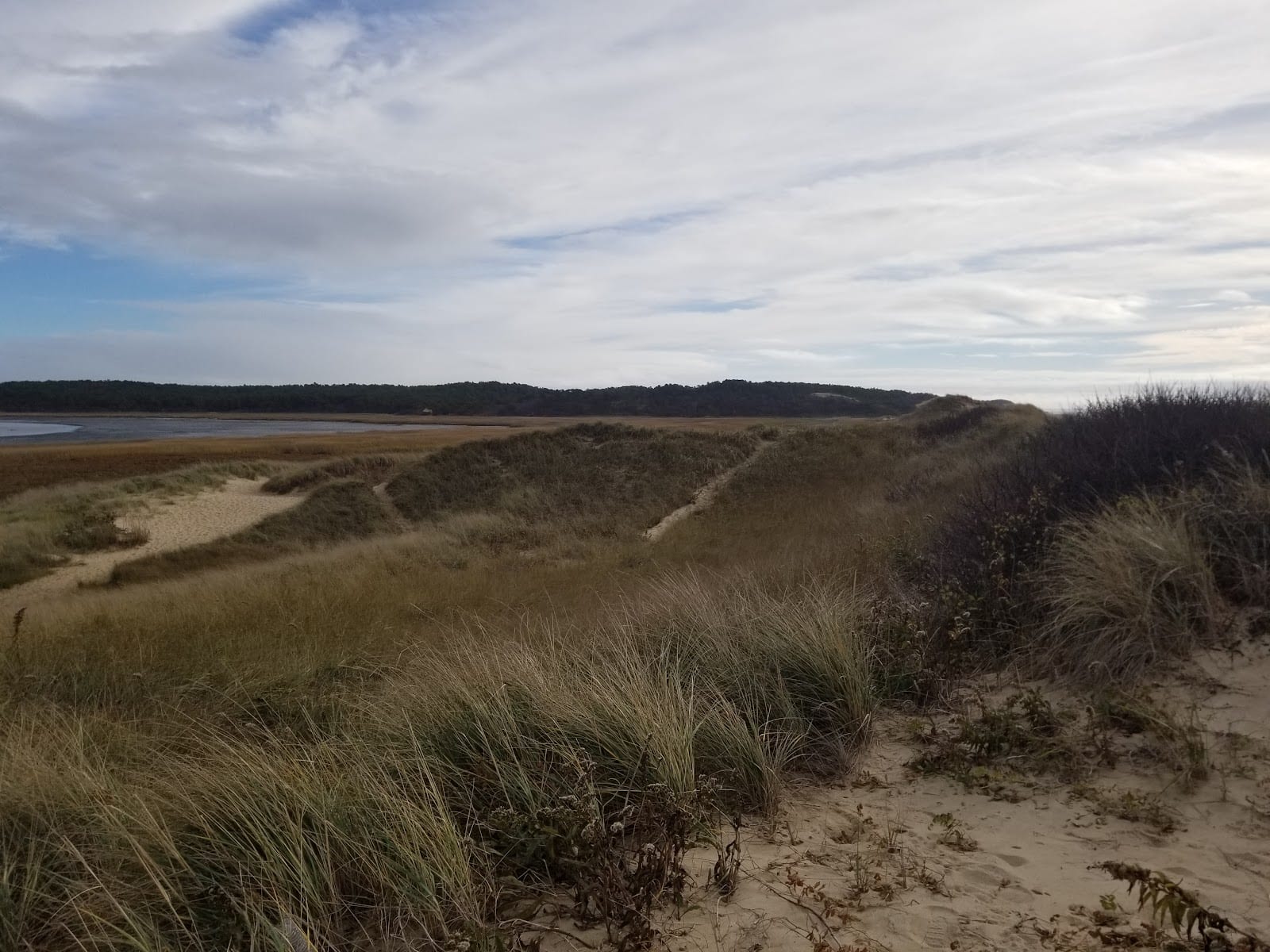 Great Island Trail in Cape Cod