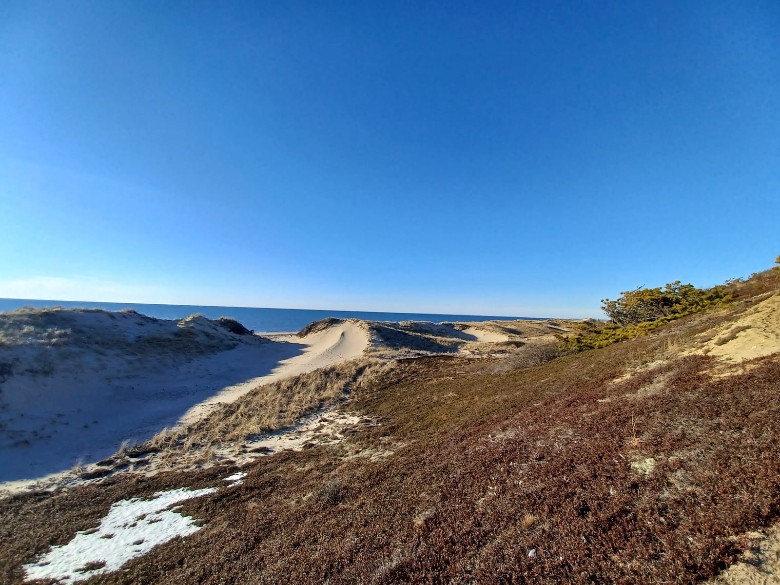 Great Island Trail in Cape Cod