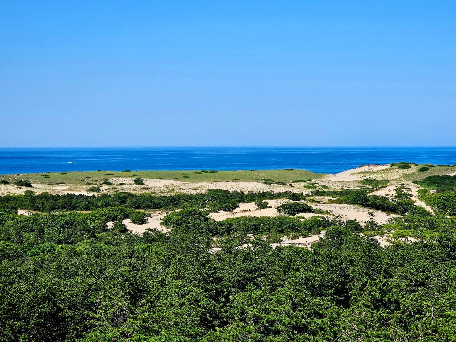 Province Lands Dunes Trail in Cape Cod