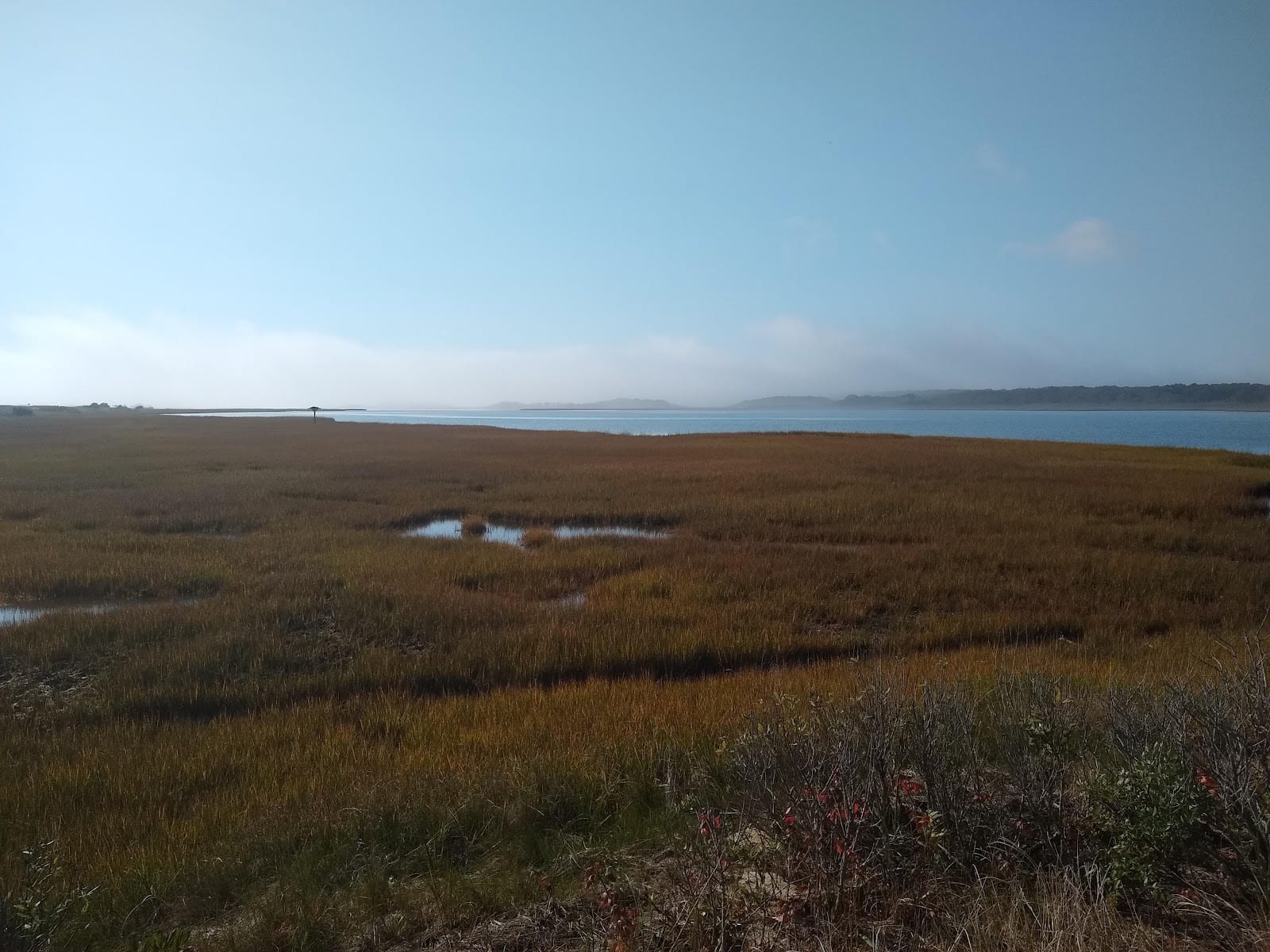 Cape Poge Wildlife Refuge in Martha's Vineyard