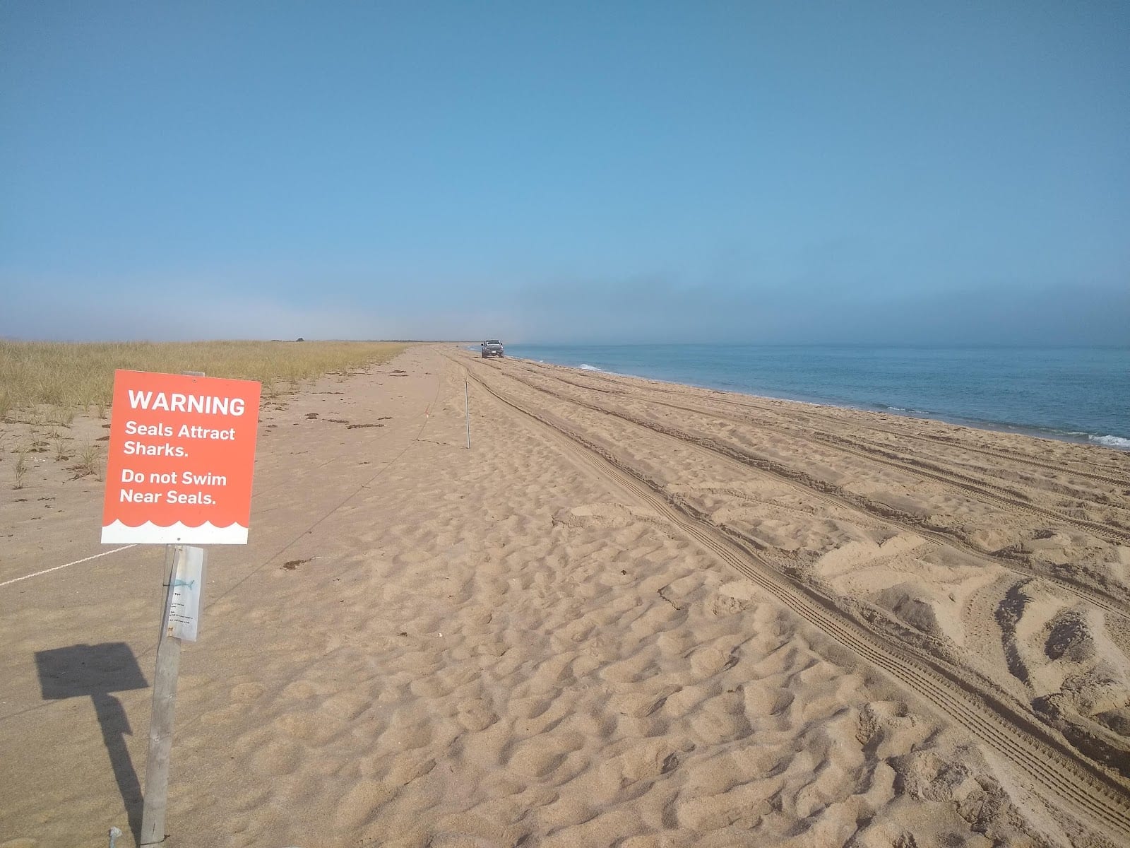 Cape Poge Wildlife Refuge in Martha's Vineyard