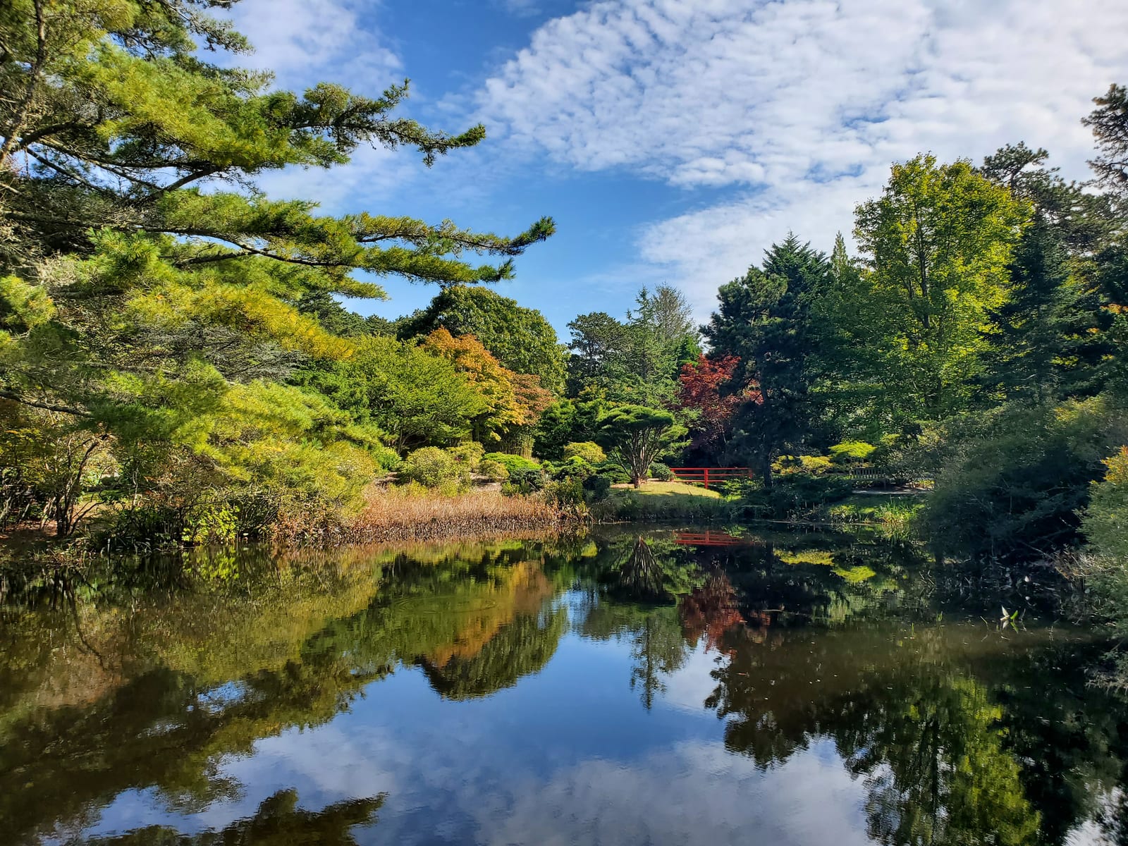 A landscaped garden surrounds a pond with a red footbridge and its reflection at Mytoi.