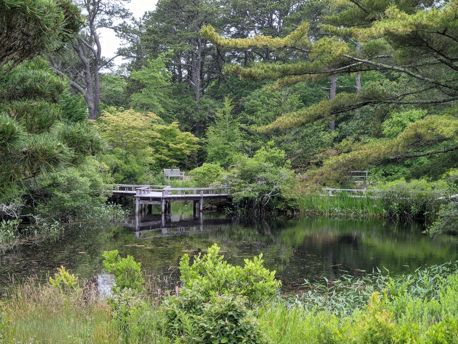 Mytoi Japanese Garden in Martha's Vineyard