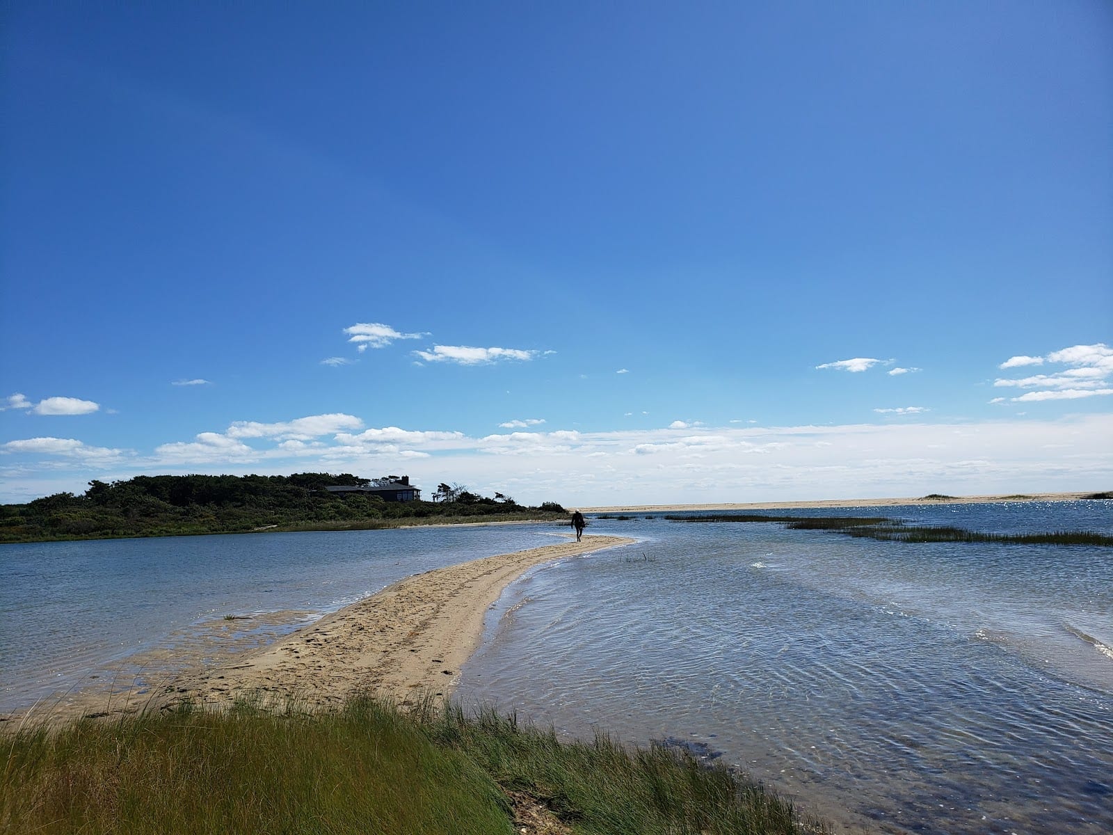 Wasque Reservation in Martha's Vineyard