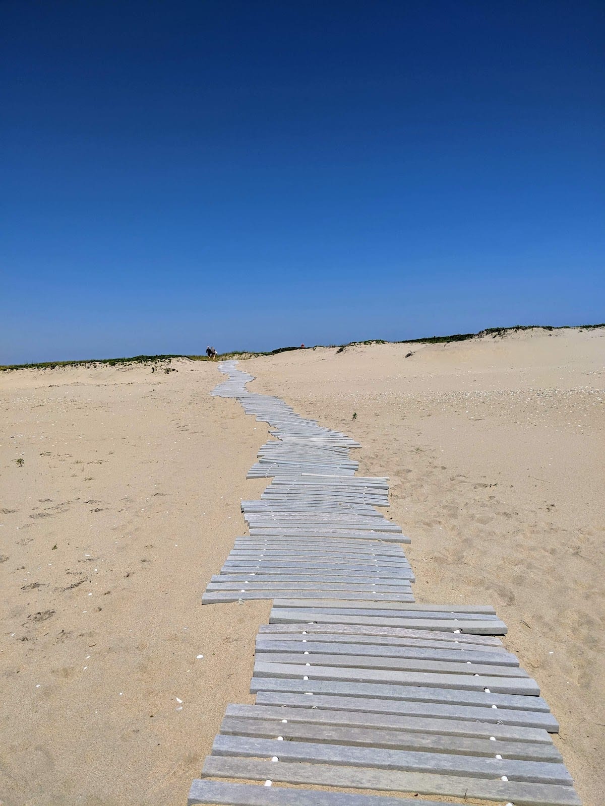 Wasque Reservation in Martha's Vineyard