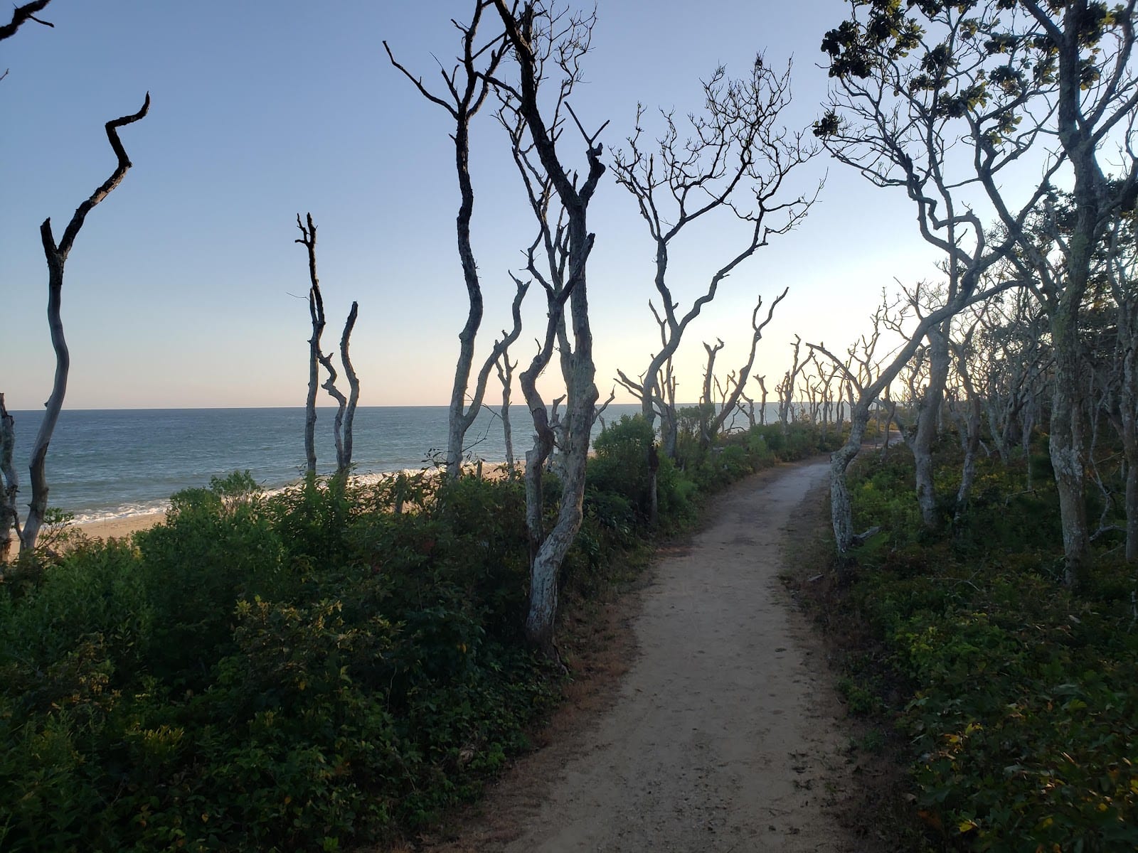 Wasque Reservation in Martha's Vineyard