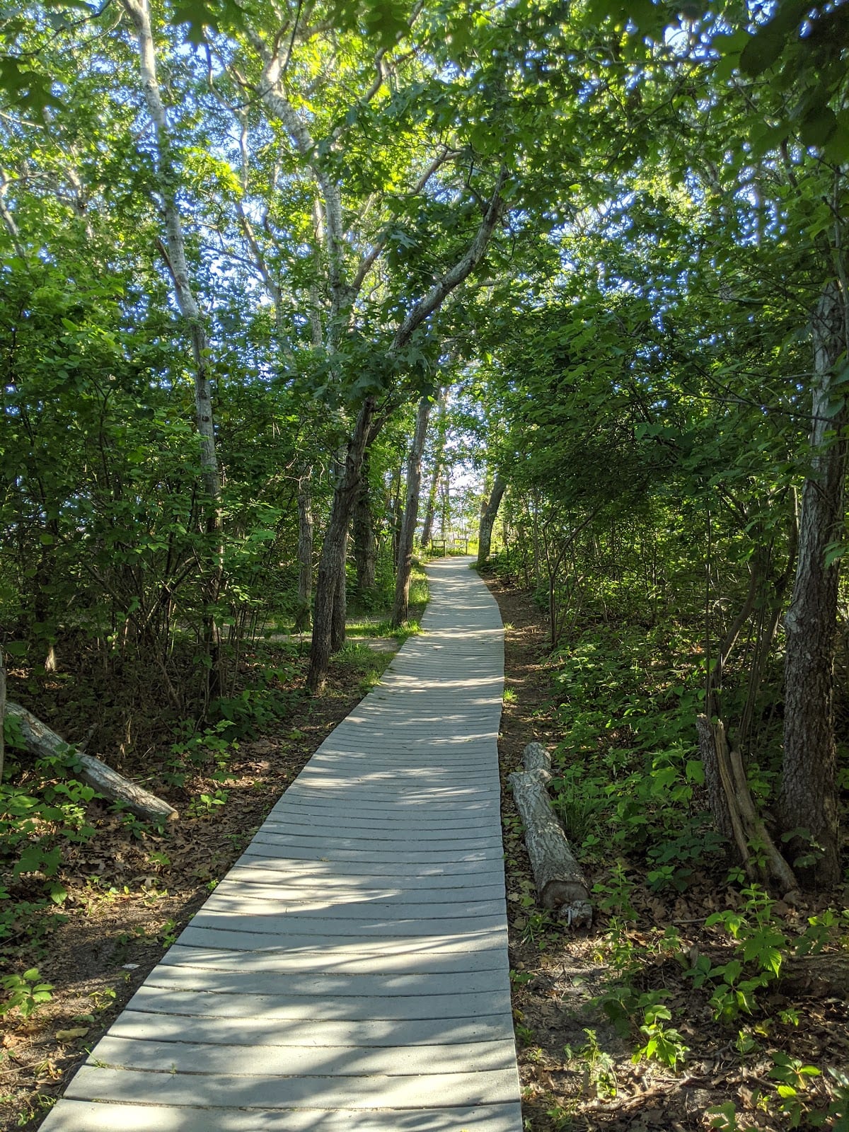 Monomoy National Wildlife Refuge in Cape Cod