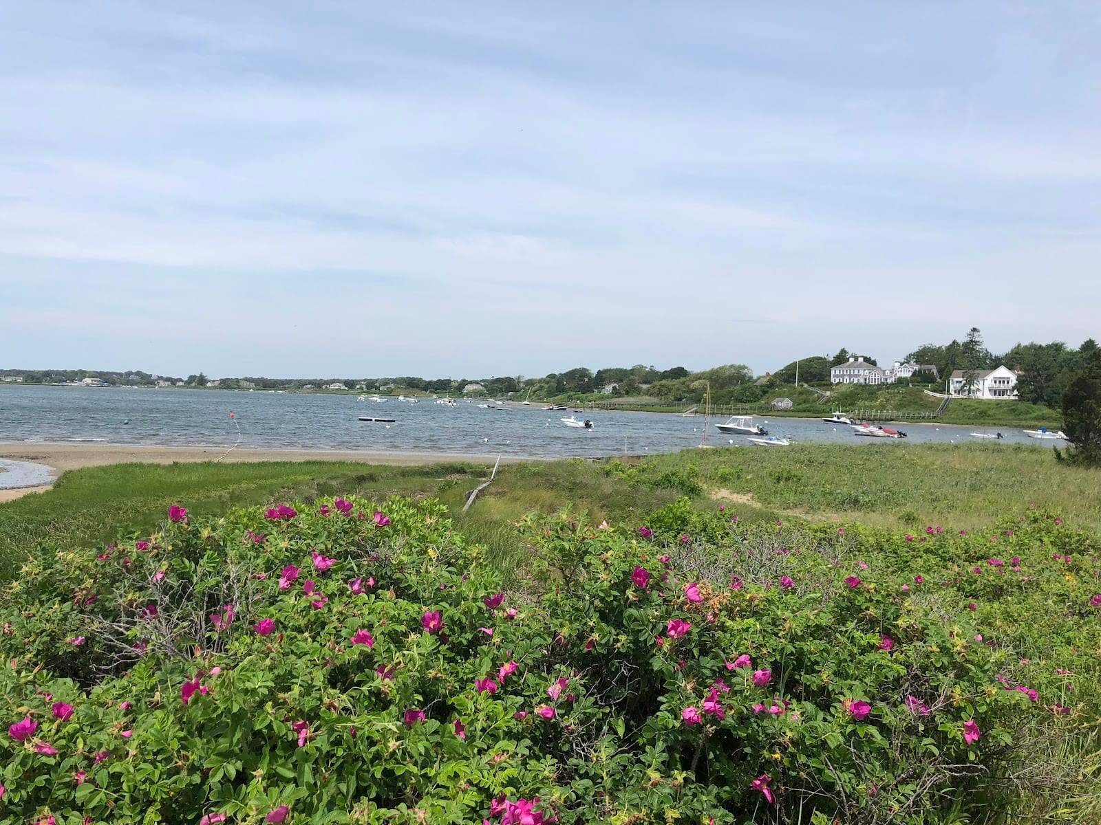 Oyster Pond Beach in Cape Cod