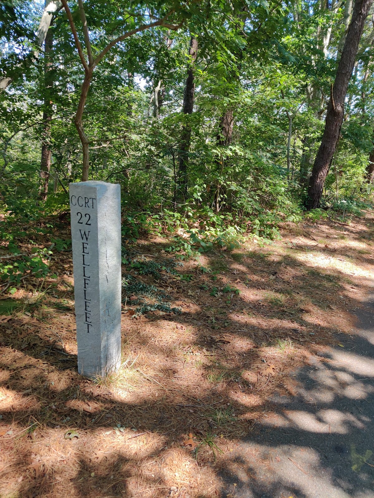 Cape Cod Rail Trail in Cape Cod