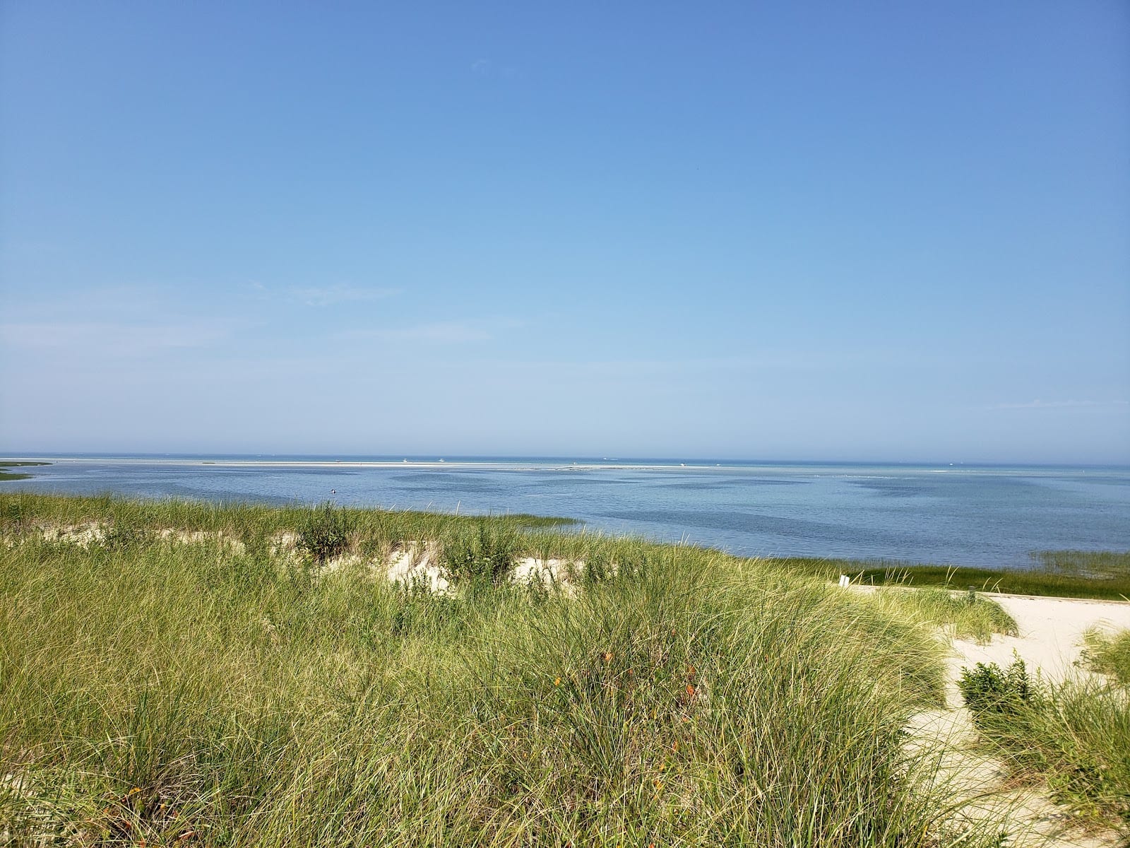 Crowes Pasture in Cape Cod