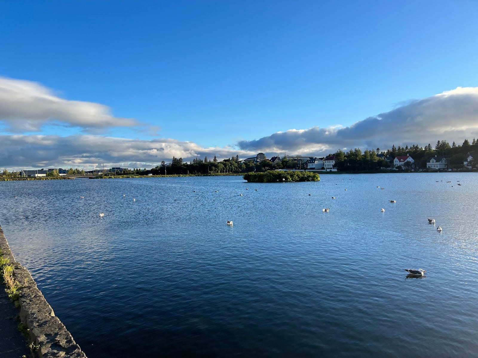 Tjörnin Pond in Reykjavik