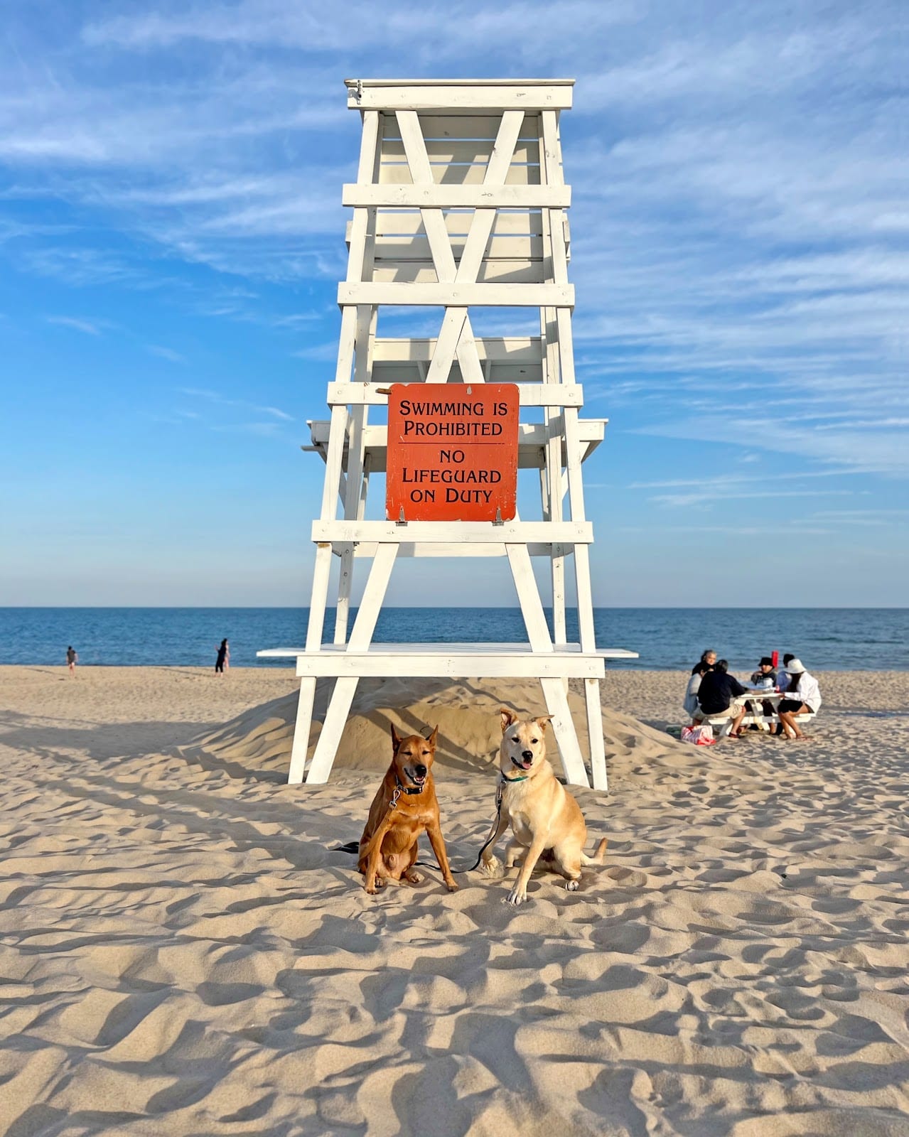 Main Beach East Hampton in The Hamptons