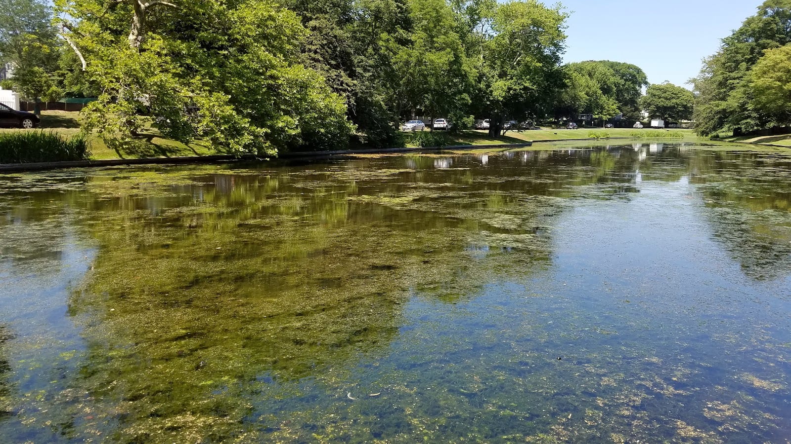 Town Pond in The Hamptons