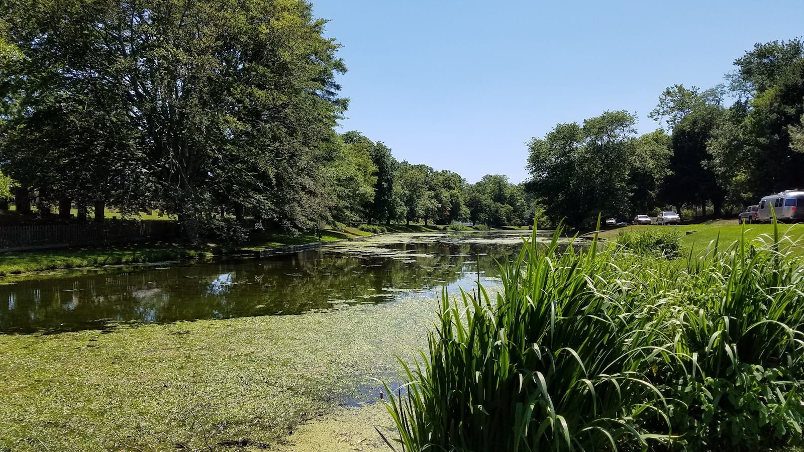 Town Pond in The Hamptons