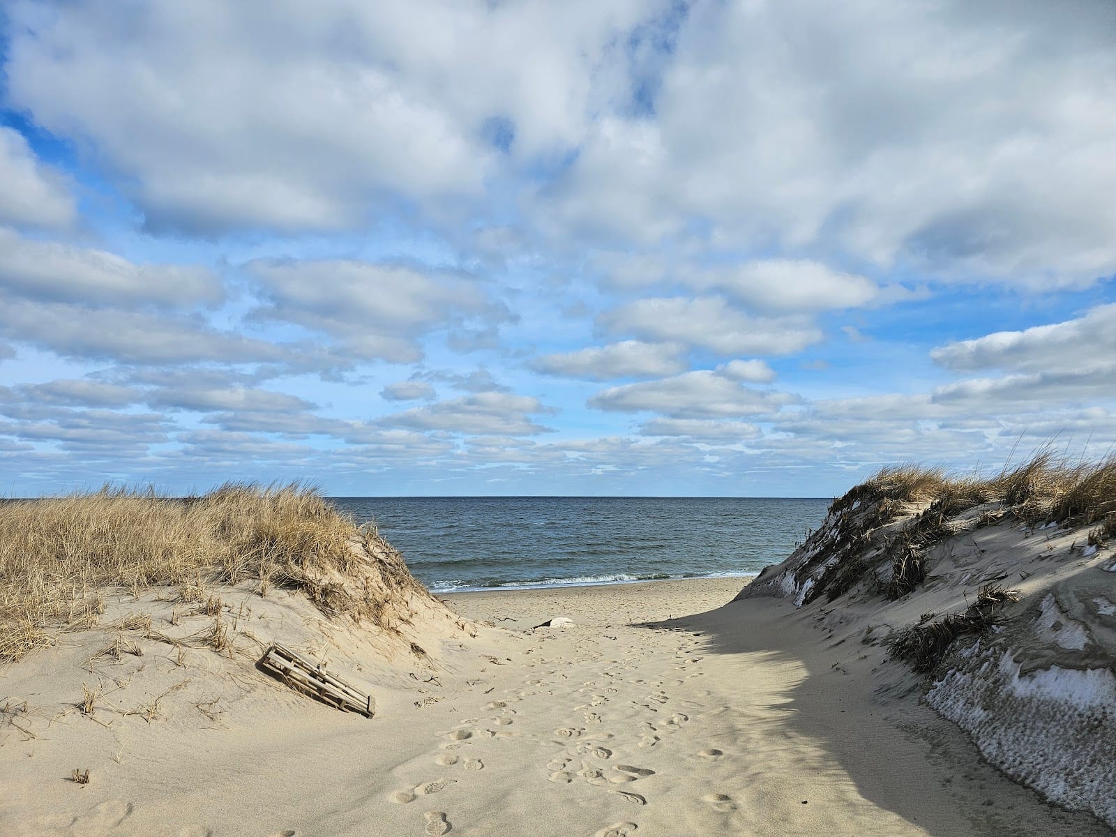 Cape Cod National Seashore in Cape Cod