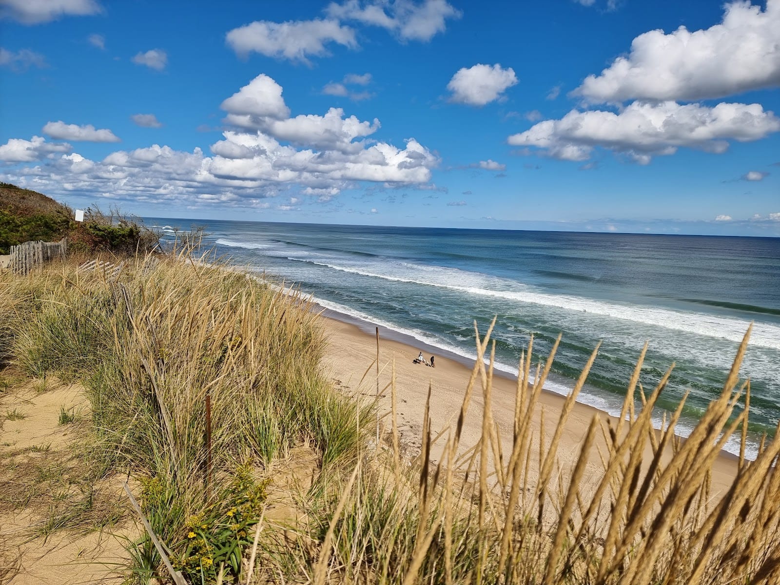 Cape Cod National Seashore in Cape Cod