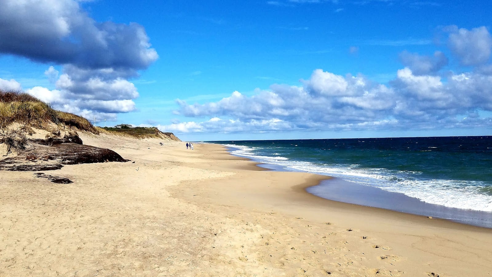 Coast Guard Beach in Cape Cod