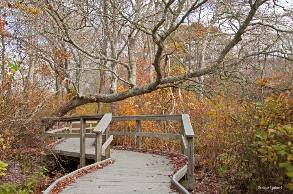Fort Hill in Cape Cod
