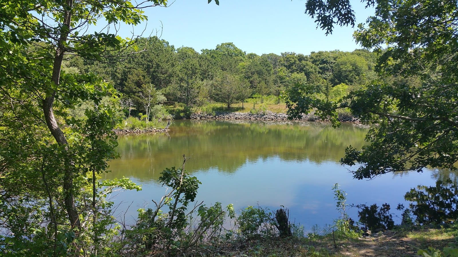 Felix Neck Wildlife Sanctuary in Martha's Vineyard