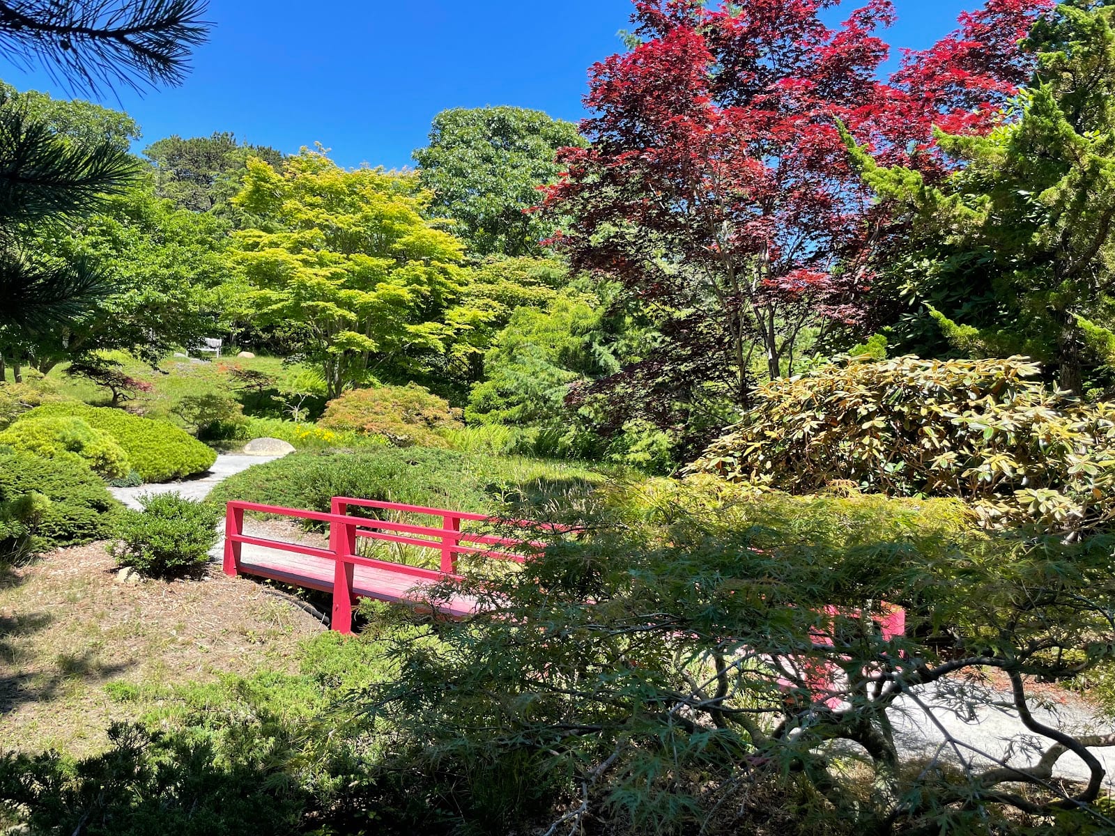 Mytoi Japanese Garden in Martha's Vineyard