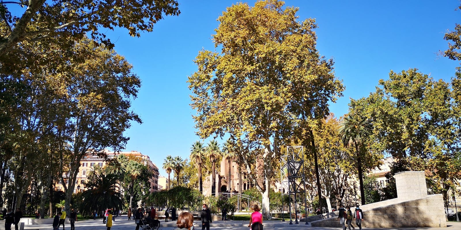 The palm-lined public garden at the center of Piazza Vittorio Emanuele II.