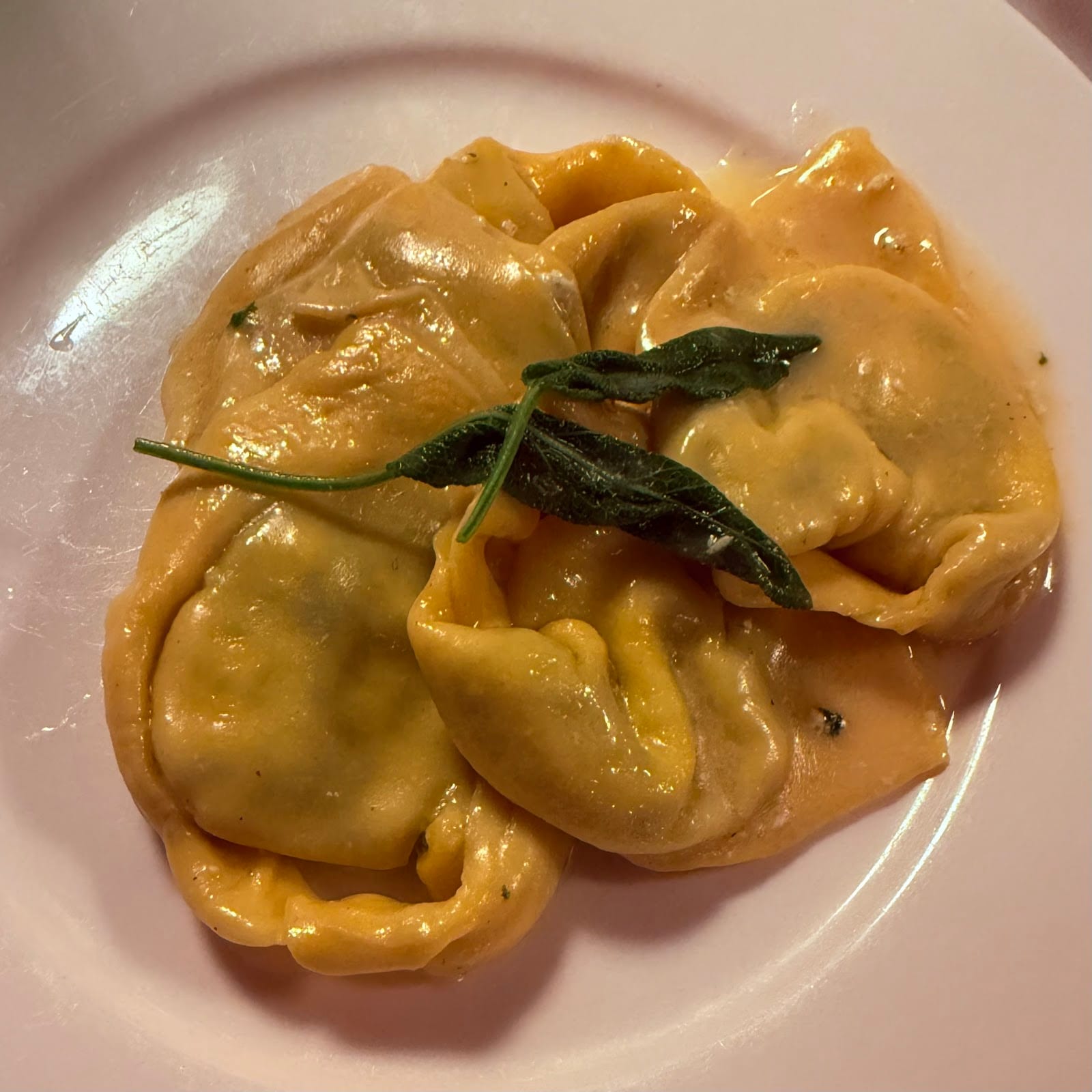 The signature tortello al rosso d'uovo with sage butter at Trattoria Monti.
