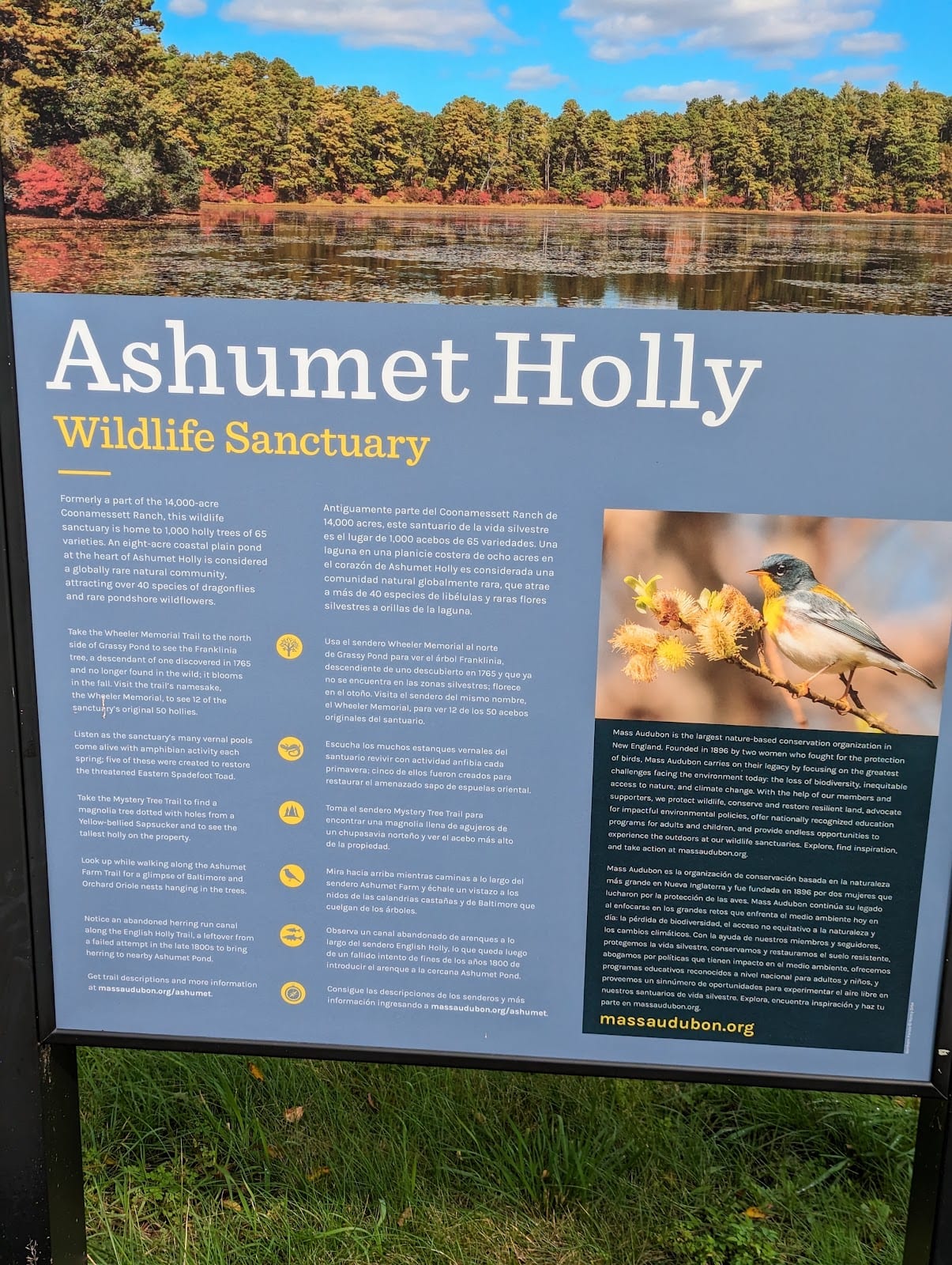 Ashumet Holly Wildlife Sanctuary in Cape Cod