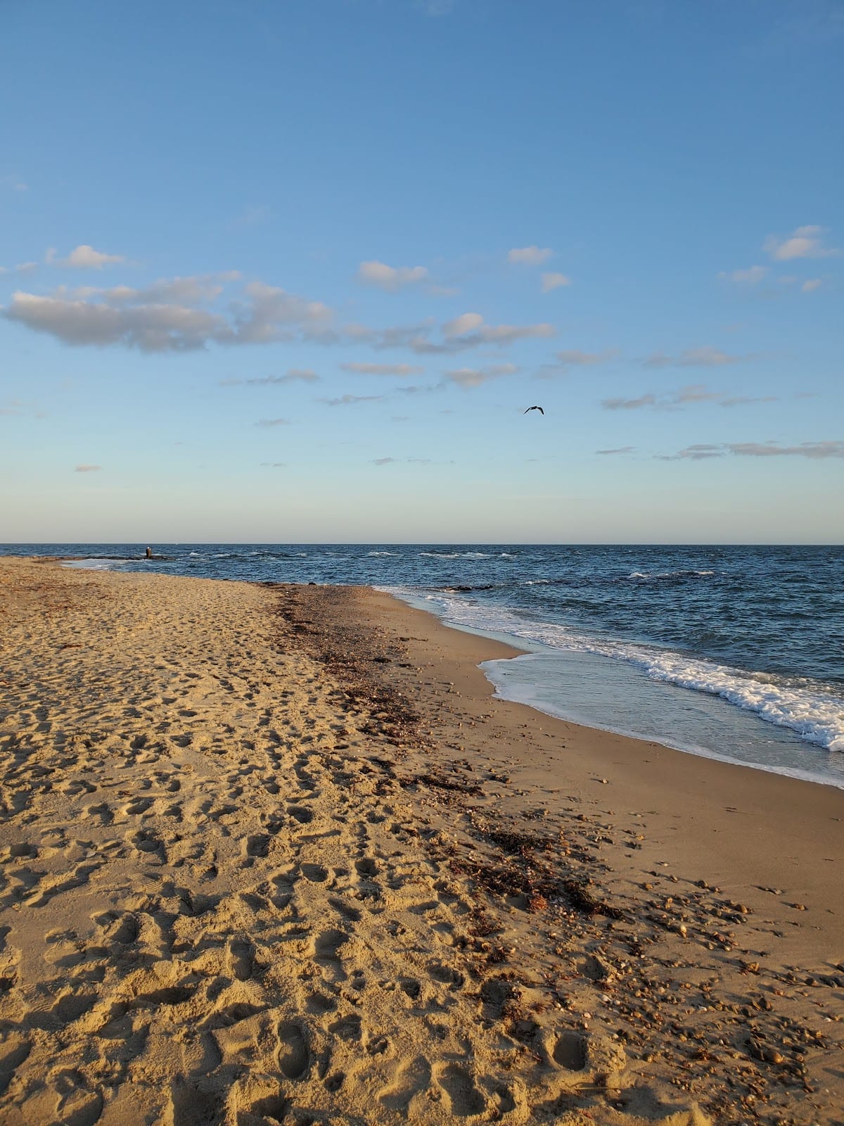 Menauhant Beach in Cape Cod
