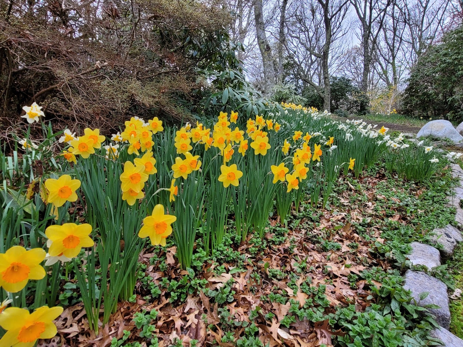 Spohr Gardens in Cape Cod