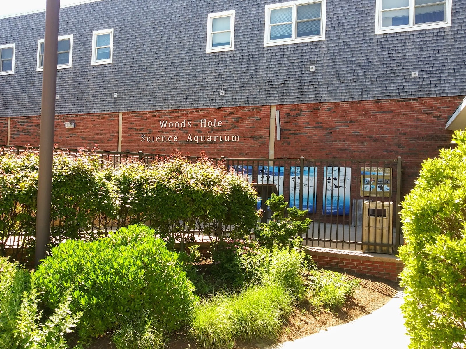 Woods Hole Science Aquarium in Cape Cod