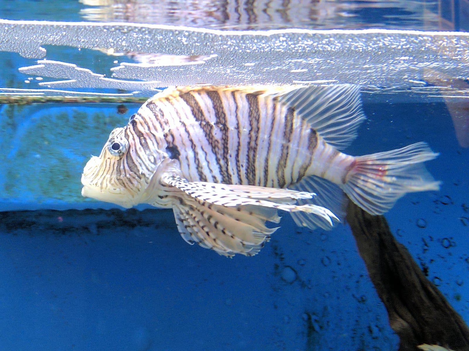 Woods Hole Science Aquarium in Cape Cod