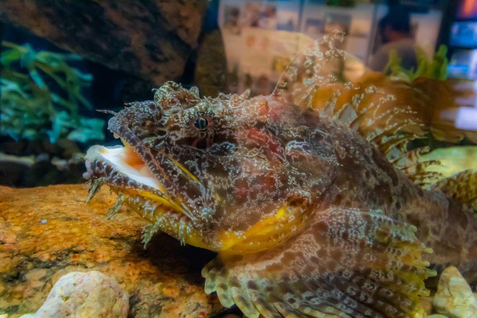 Woods Hole Science Aquarium in Cape Cod