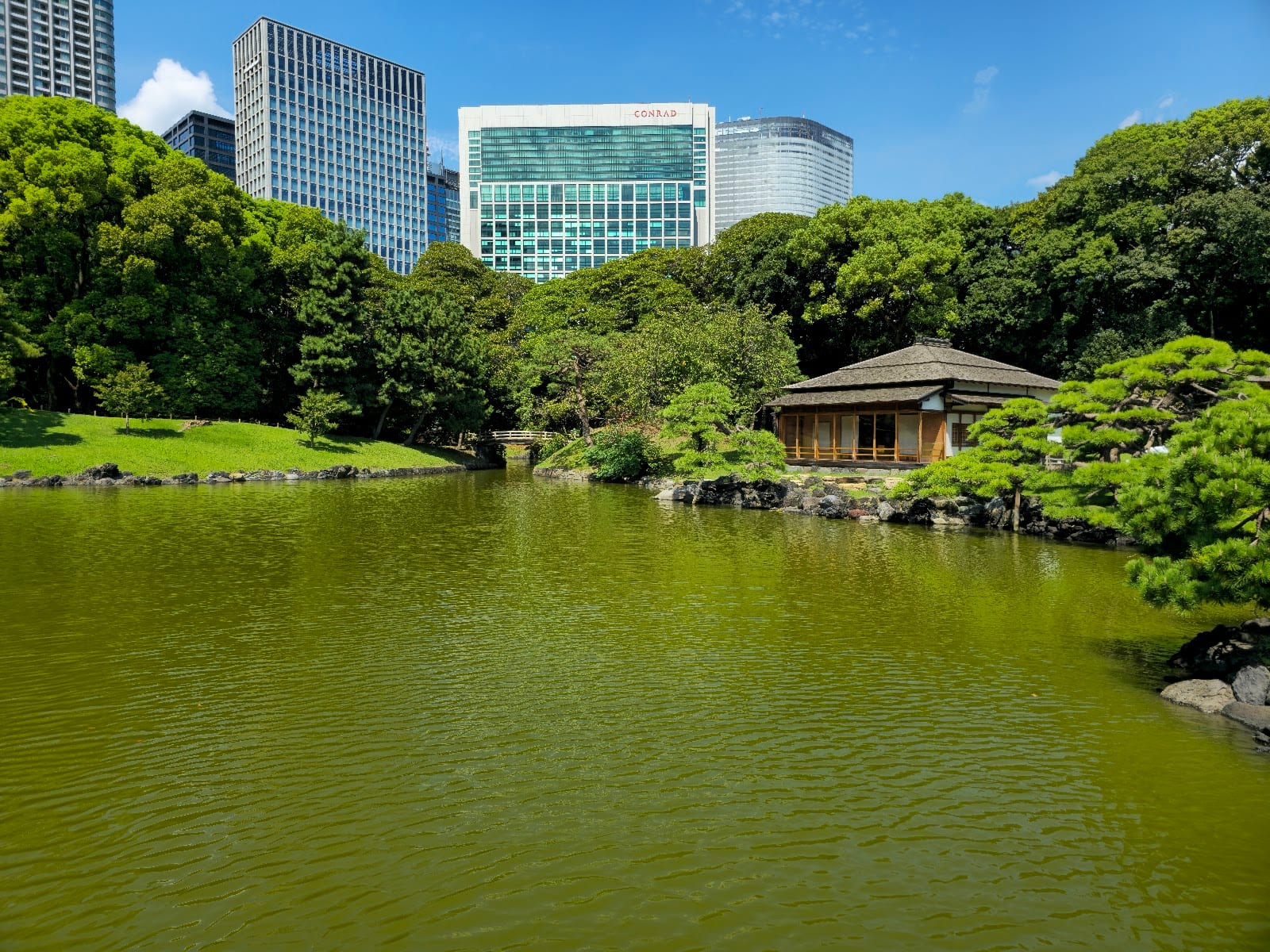 Hama-rikyu's tidal pond and the Nakajima teahouse, with skyscrapers beyond the pines.