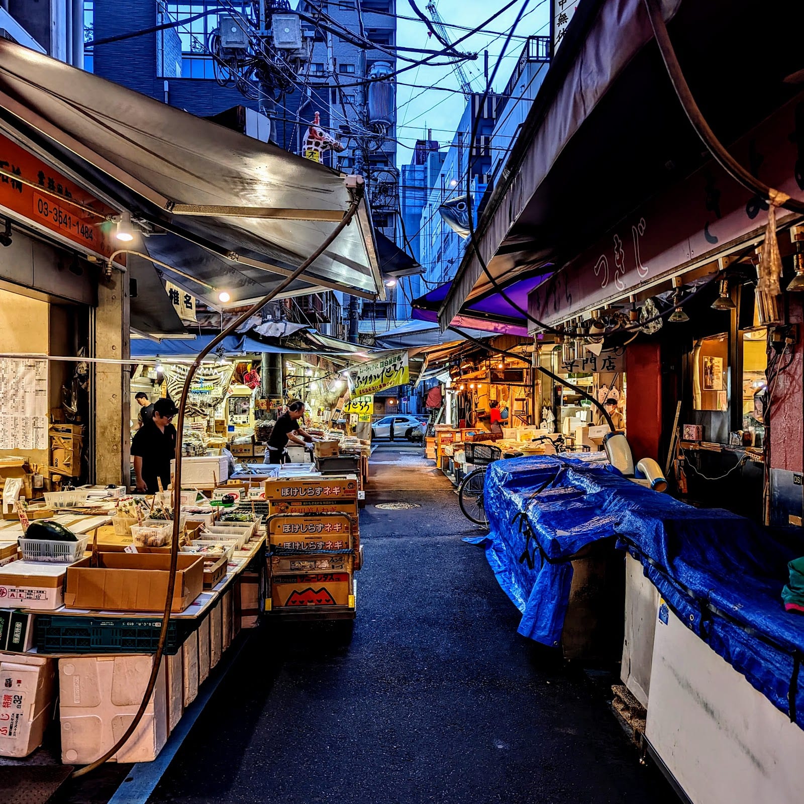 A busy lane of food stalls in the Tsukiji Outer Market.