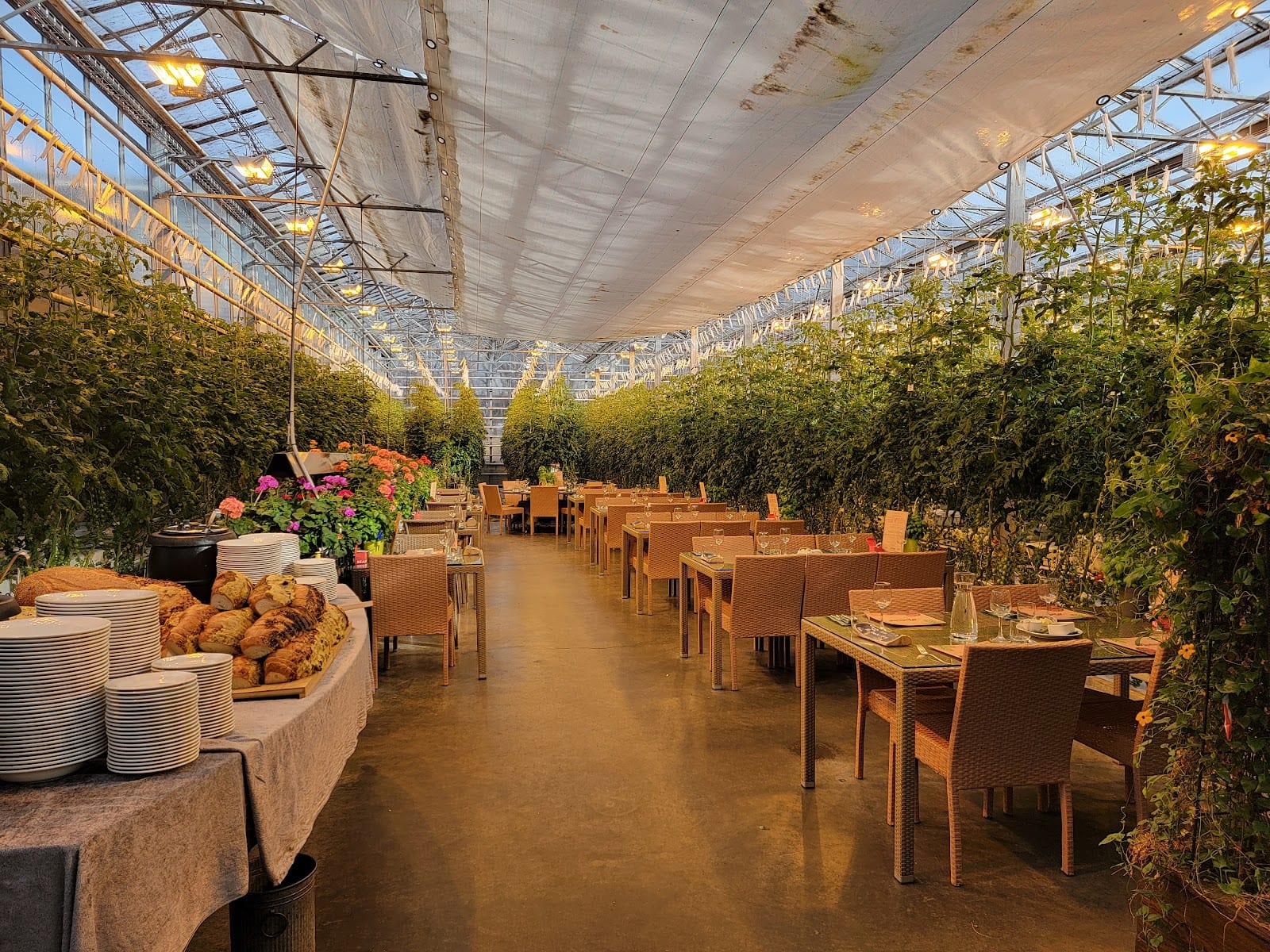 Fridheimar Tomato Farm in Reykjavik
