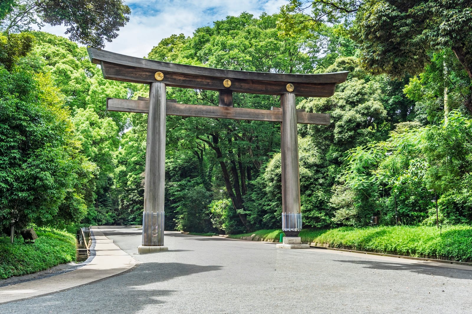 A large wooden torii gate on the forest approach to Meiji Jingu.