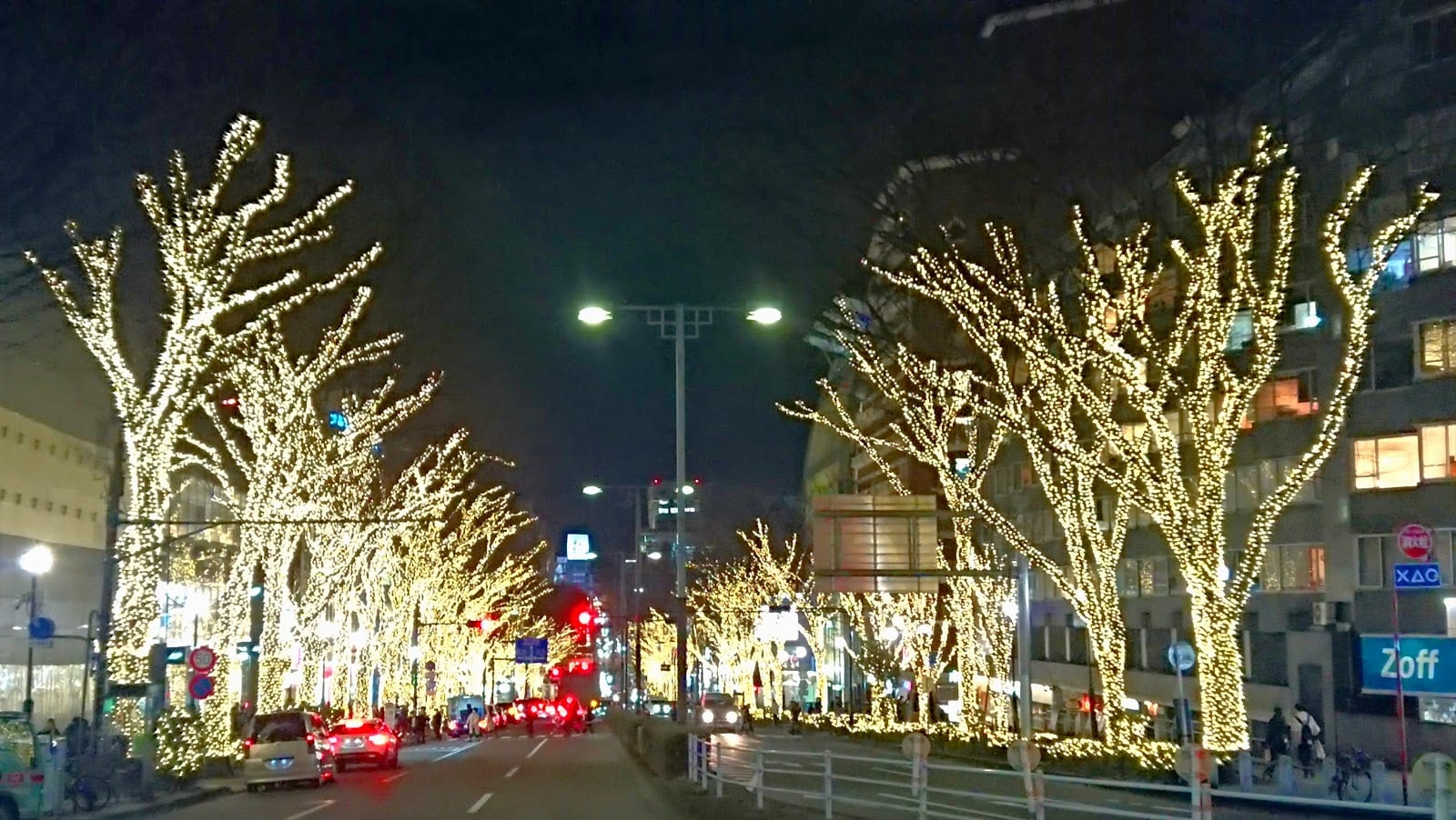 Omotesando's zelkova trees lit for the winter illuminations.