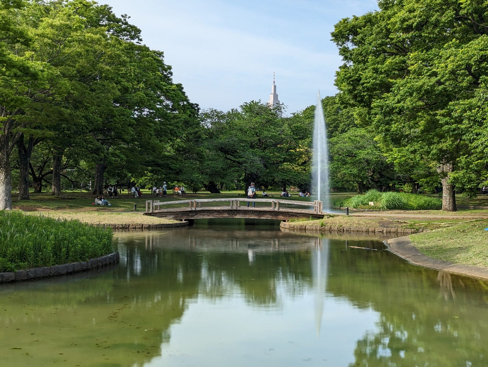 A bridge and pond in the green heart of Yoyogi Park.