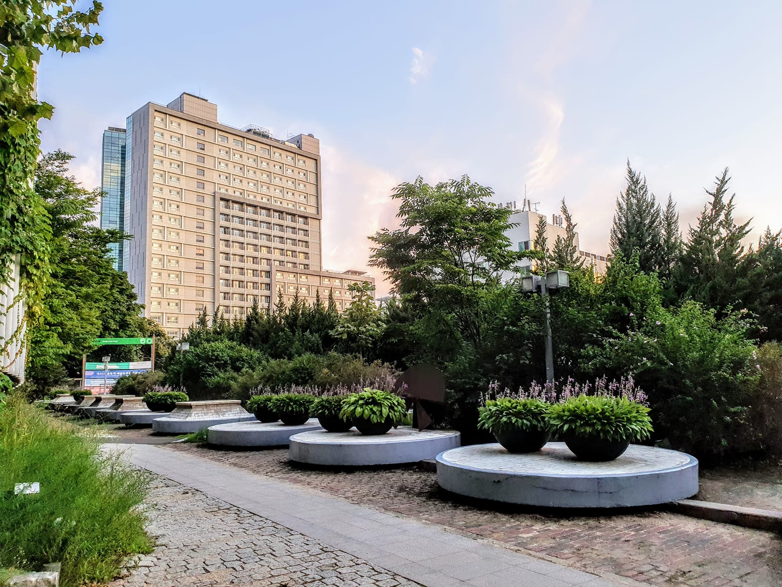 A Hongik University campus building rises behind landscaped greenery.