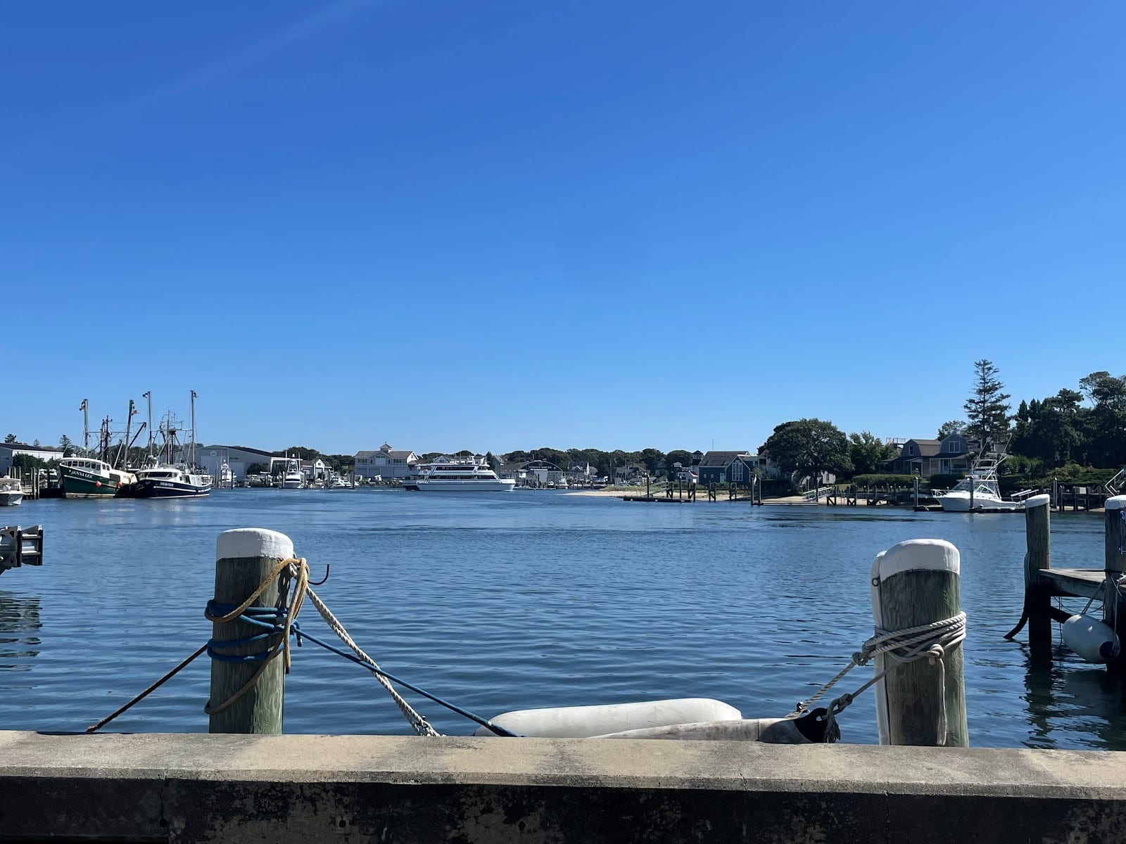 Bismore Park in Cape Cod