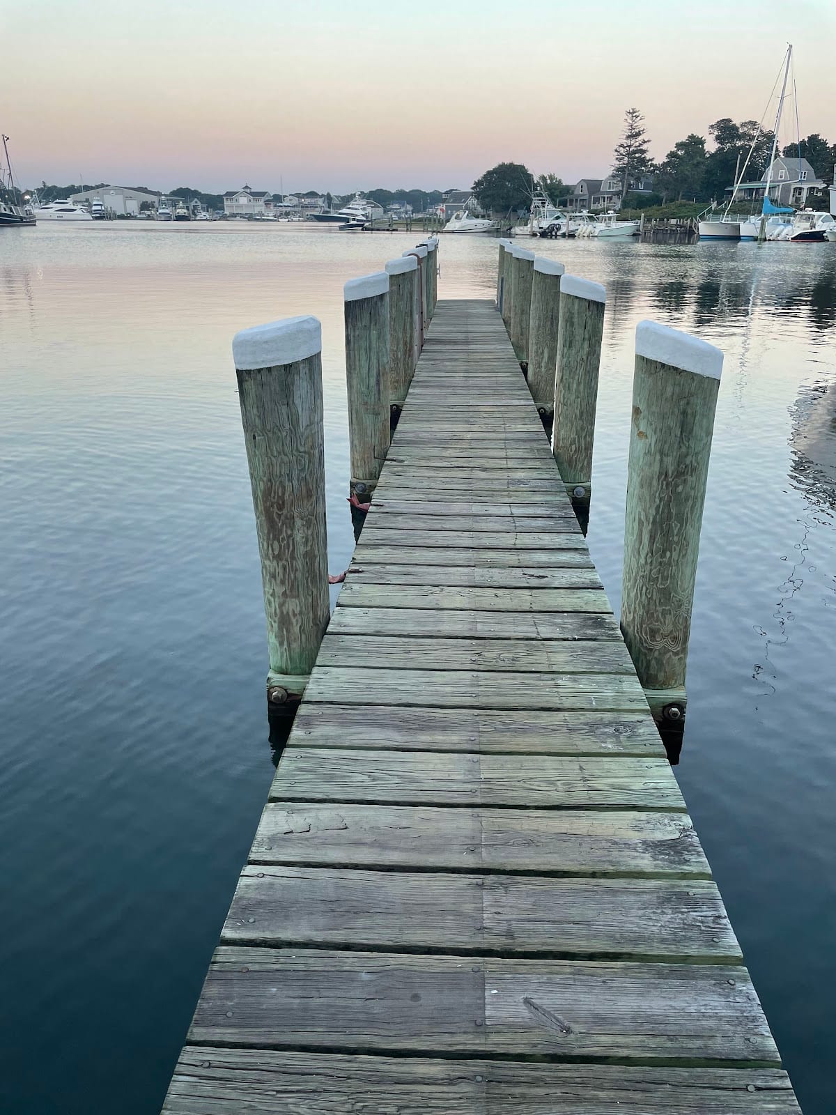 Bismore Park in Cape Cod