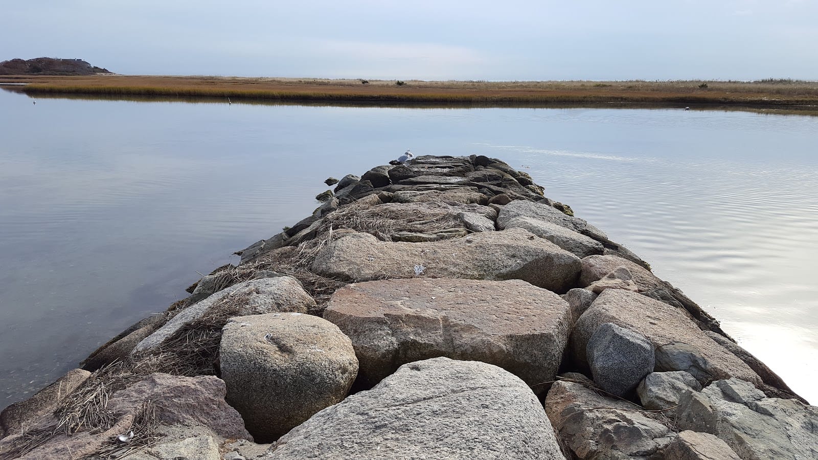 Craigville Beach in Cape Cod
