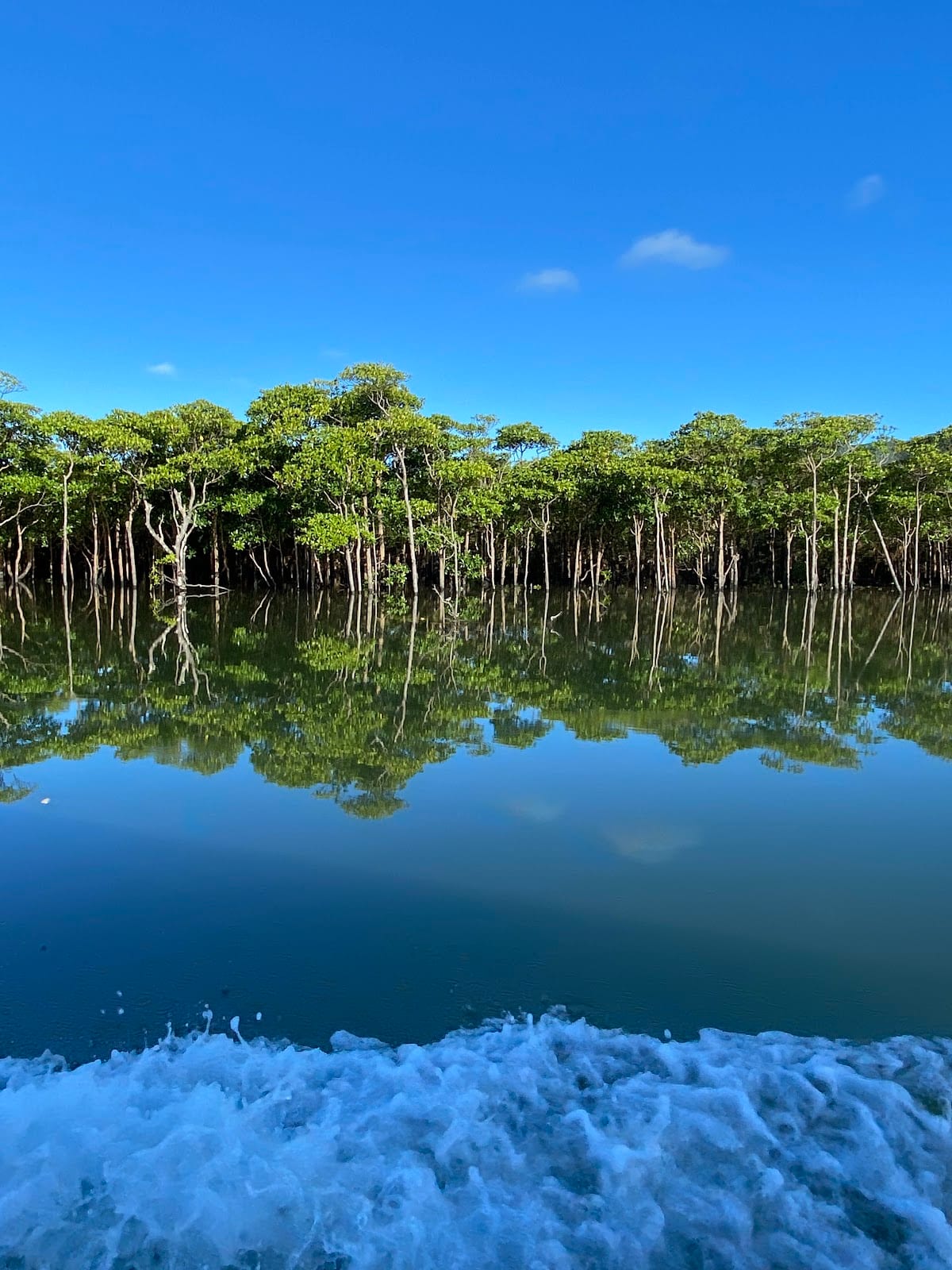 Iriomote Island in Okinawa