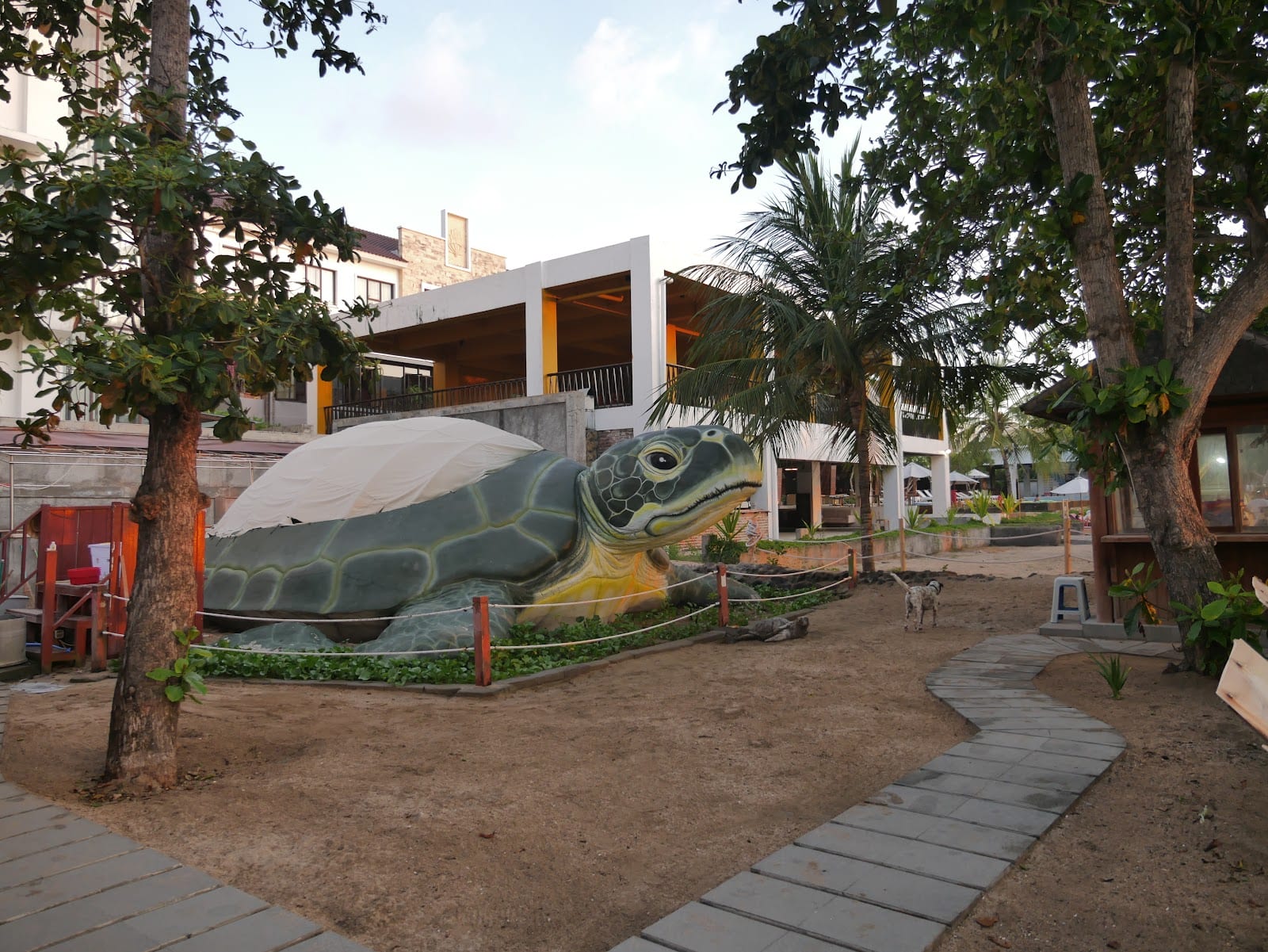 Kuta Beach Sea Turtle Conservation in Bali