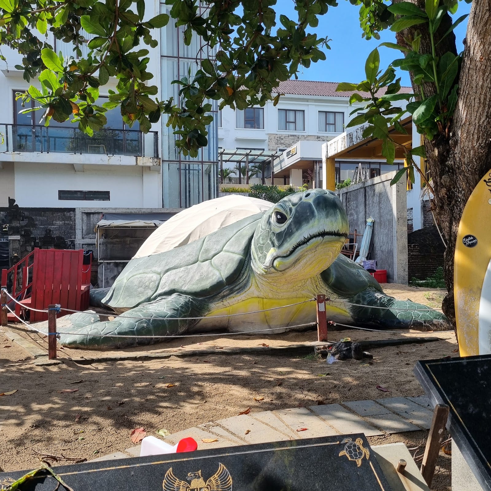 Kuta Beach Sea Turtle Conservation in Bali