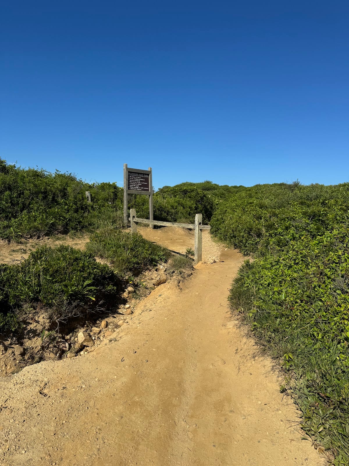 Shadmoor State Park in The Hamptons