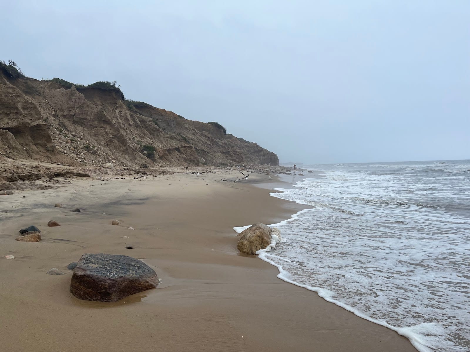 Shadmoor State Park in The Hamptons