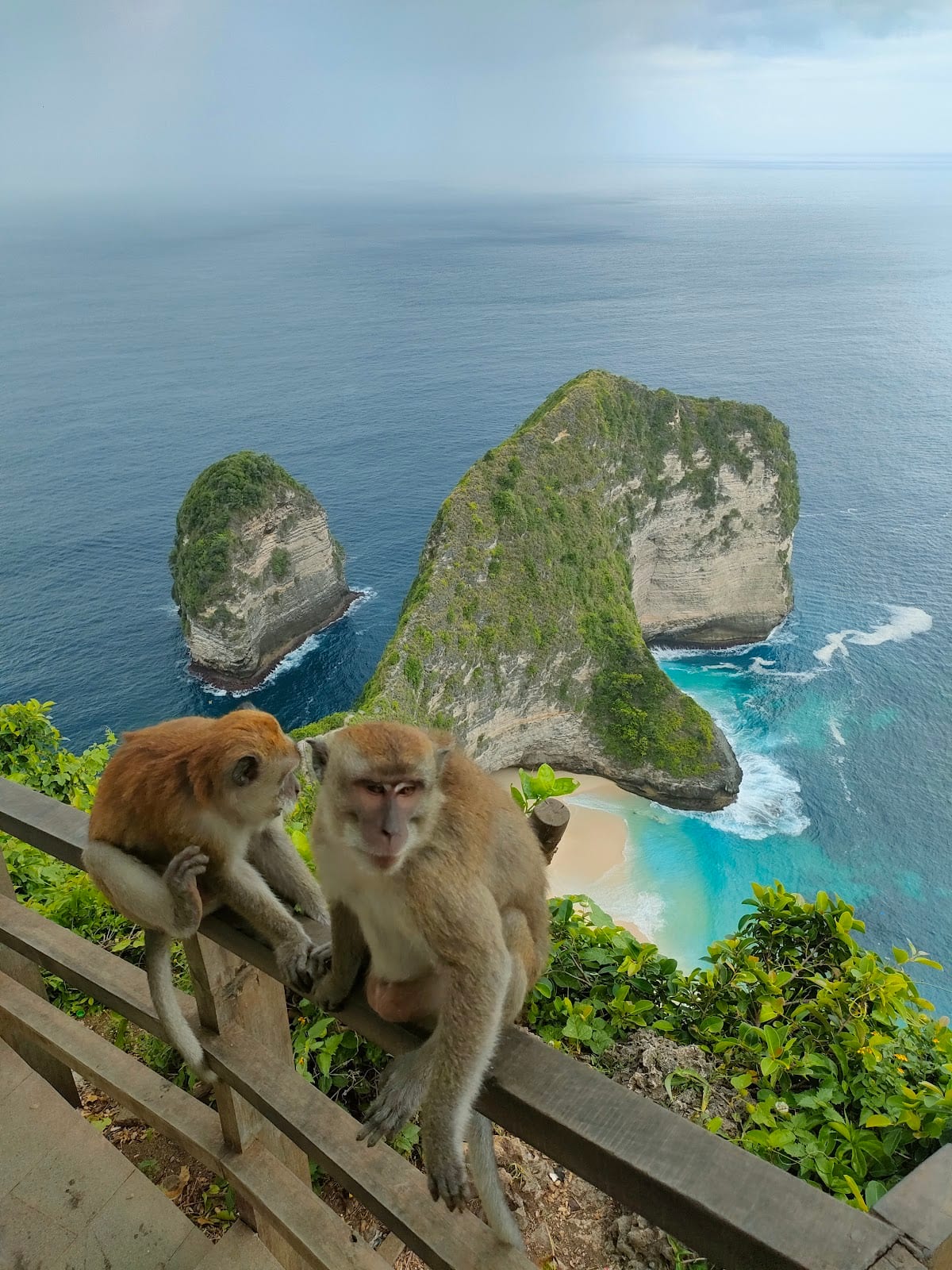 Kelingking Beach in Bali