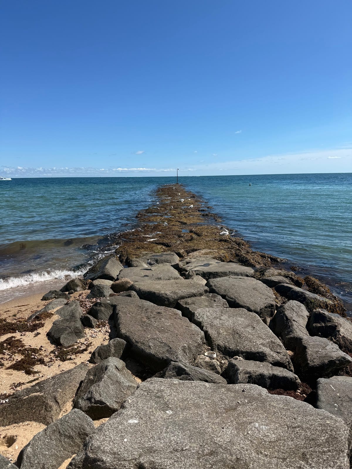 Inkwell Beach in Martha's Vineyard