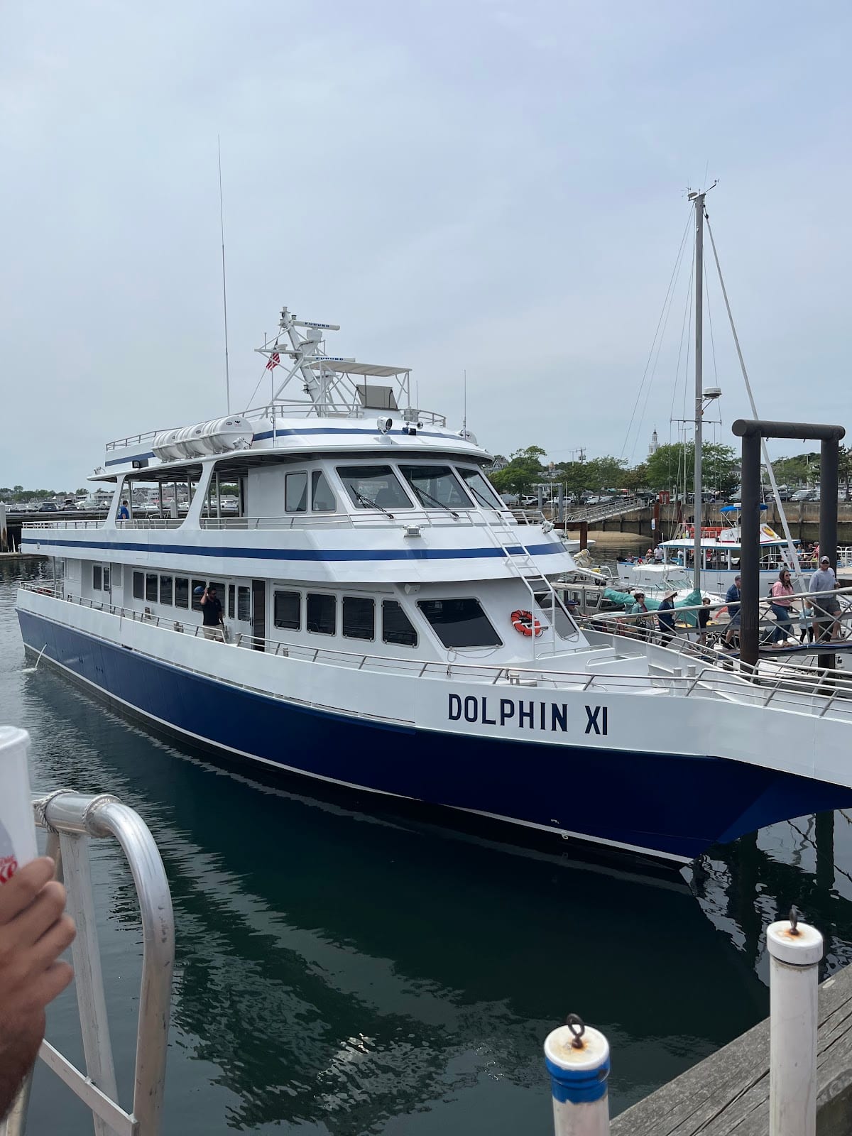 Dolphin Fleet Whale Watch in Provincetown